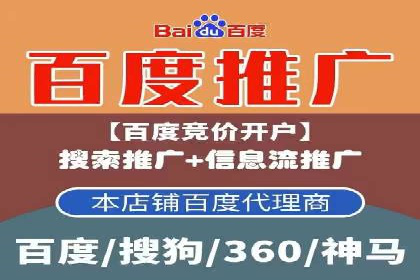 深度解析：百度推广费用与ROI的关联案例